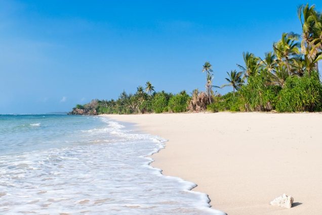 7-Day Luxury Bush (Amboseli & Tsavo) to Beach Vacation