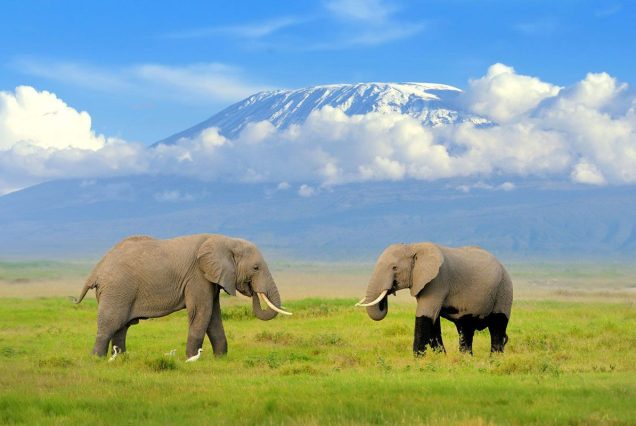 7-Day Kenya Adventure Safari
