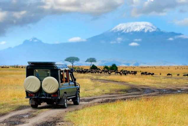 8 Days Nakuru, Masai Mara, Serengeti, Ngorongoro & Amboseli Safari