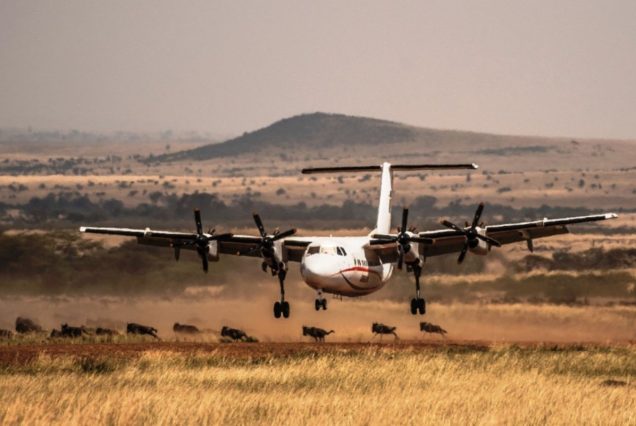 2 Days, 1 Night Masai Mara Flying Safari from Nairobi