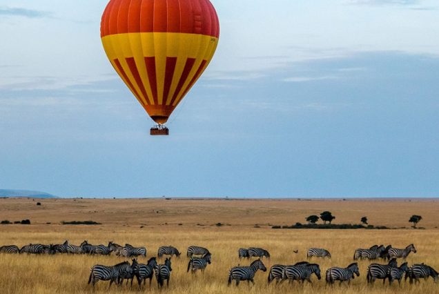 3 Days Masai Mara Flying Safari from Mombasa