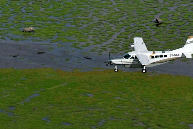 3 Days - Amboseli National Park Flying Safari