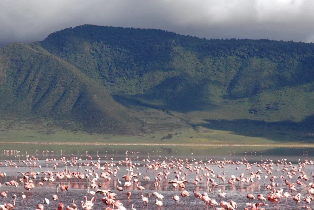 8 Days Masai Mara, Lake Manyara, Ngorongoro & Serengeti African Safari