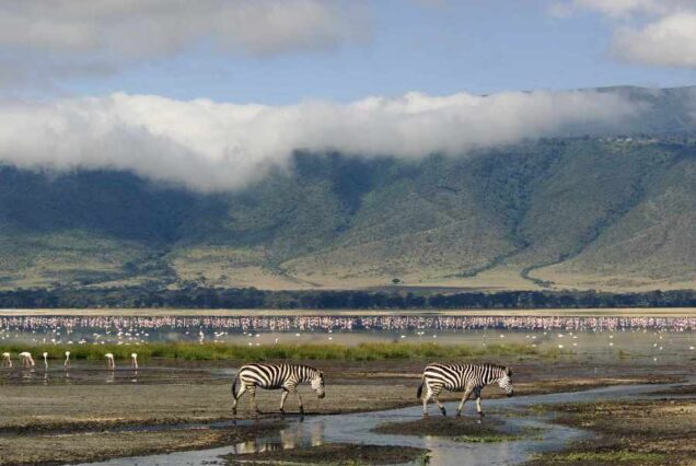 3 Days Ngorongoro Crater Tanzania Safari