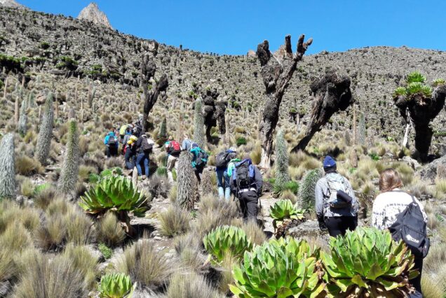 4 Days Mt Kenya Hiking: Chogoria â€“ Sirimon Route