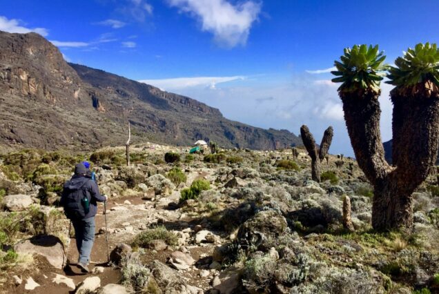 8 Days Mt. Kilimanjaro Trekking & Climbing: Machame Route