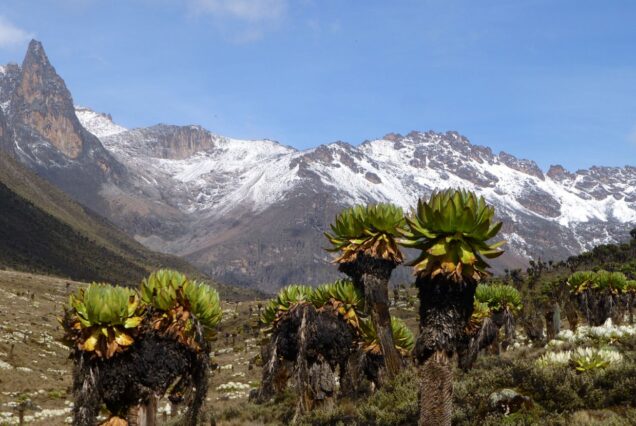 6 Days Hiking Mt Kenya: Chogoria â€“ Sirimon Route