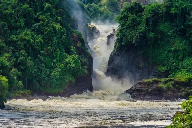 3 Days Uganda Wildlife Safari to Murchison Falls National Park